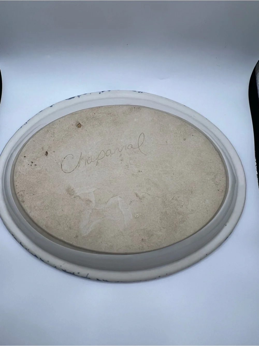 Blue Speckle Oval Serving Platter